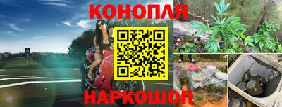 индика Краснокаменск