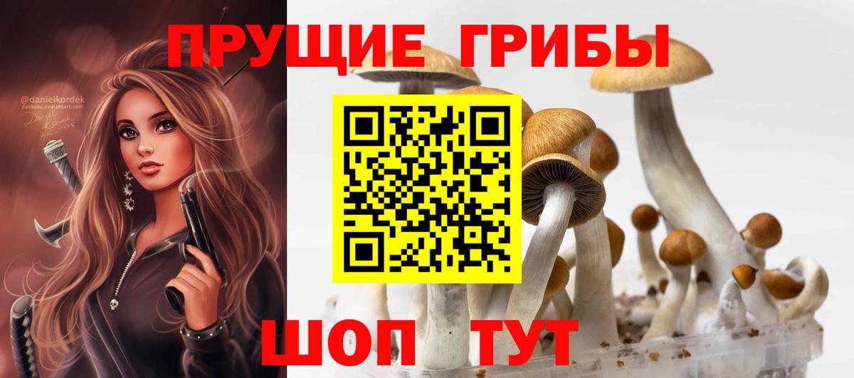Галлюциногенные грибы мухоморы  Вход с VPN  Кисловодск 
