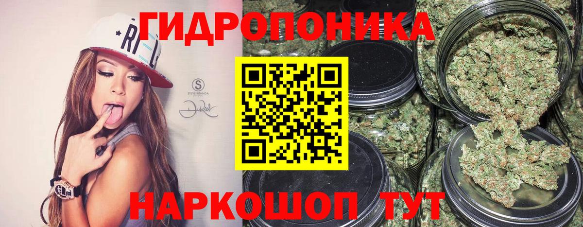 Марихуана SATIVA & INDICA  Бошки Шишки OG Kush  Кисловодск  Вход с VPN  Шишки марихуана марихуана 